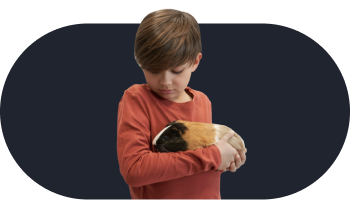 Same-Day Appointments